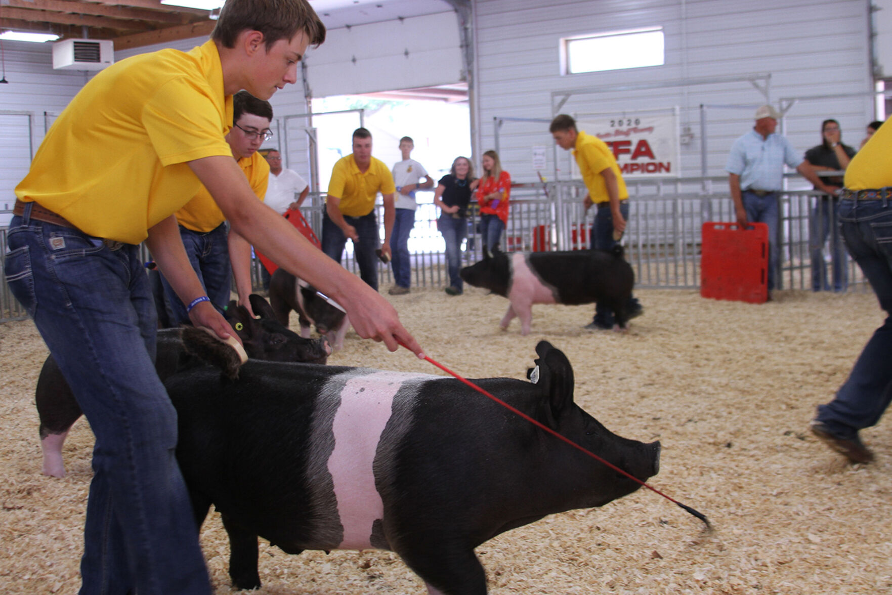PHOTOS: Scenes from the Scotts Bluff County Fair